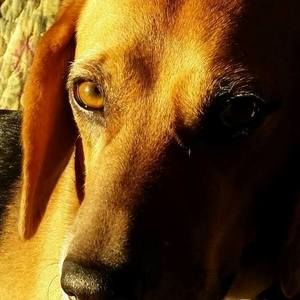 Meet your Posher, Clinton